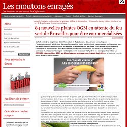 84 nouvelles plantes OGM en attente du feu vert de Bruxelles pour être commercialisées