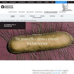 De nouvelles armes contre les bactéries - L'actu de l'Institut Pasteur