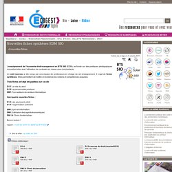 Nouvelles fiches synthèses EDM SIO - [Site Economie-Gestion Académie de Lyon]