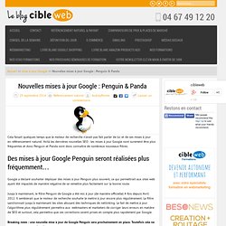 Nouvelles mises à jour Google : Pinguin & Panda