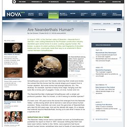 Are Neanderthals Human?