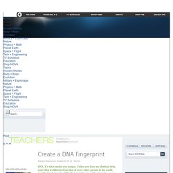 Create a DNA Fingerprint
