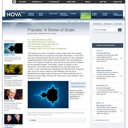 Fractals: A Sense of Scale
