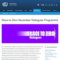 Race-to-Zero November Dialogues Programme