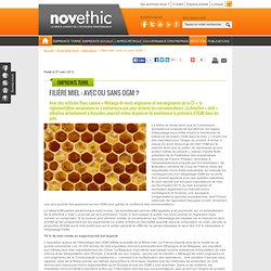 Filière miel : avec ou sans OGM ? - OGM - Environnement