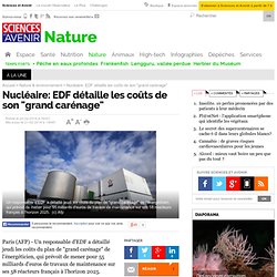 Nucléaire: EDF détaille les coûts de son "grand carénage"