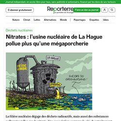 Nitrates : l’usine nucléaire de La Hague pollue plus qu’une mégaporcherie