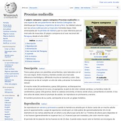 Procnias nudicollis