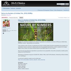 Nature by Numbers (Cristóbal Vila, 2010) DVDRip