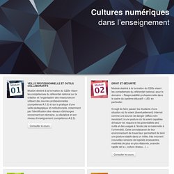 Cultures numériques dans l'enseignements