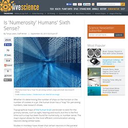 Is 'Numerosity' Humans' Sixth Sense?