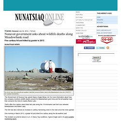 2014-07-02: NEWS: Nunavut government asks about wildlife deaths along Meadowbank road