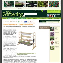 Nurture Seedlings on a Tiered Growing Stand