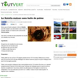 Le Nutella maison sans huile de palme