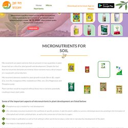 Plant Micronutrients Wholesale Suppliers in India at Jai Ho Kisan App