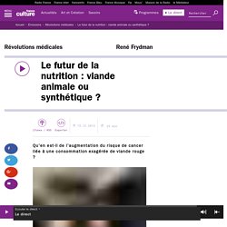 FRANCE CULTURE 15/12/15 REVOLUTIONS MEDICALES - Le futur de la nutrition : viande animale ou synthétique ?