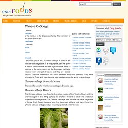 Chinese Cabbage - Nutrition Facts, Benefits, Recipes and Pictures - Iceweasel