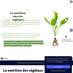 La nutrition des végétaux by lucilekirchner on Genially