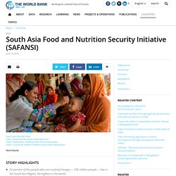 South Asia Food and Nutrition Security Initiative (SAFANSI)