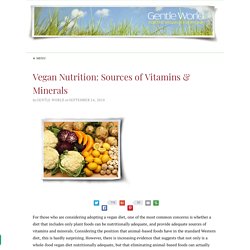 Vegan Nutrition: Sources of Vitamins and Minerals