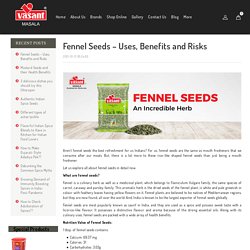 Fennel seeds: Nutritional facts, Uses, Benefits and Side Effects