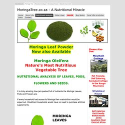Moringa,Oleifera,Superfood,Tree,Nutritional,Analysis,Amino Acid,Vitamin,Mineral,Content,Composition