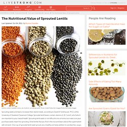 The Nutritional Value of Sprouted Lentils