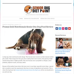 Fromm Gold Nutritionals Senior Dry Dog Food Review