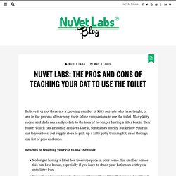 Learn The Pros And Cons Of Teaching Your Cat To Use The Toilet