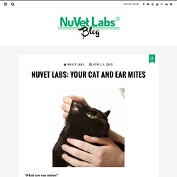 NuVet Labs: Your Cat And Ear Mites