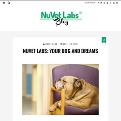 NuVet Labs: Your Dog and Dreams