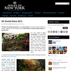 NY Orchid Show 2012