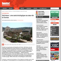 Sidi Amor : une oasis écologique au cœur de la Tunisie - Développement rural