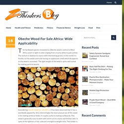 Obeche Wood For Sale Africa: Wide Applicability - Zthinkers Blog