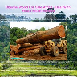Obeche Wood For Sale Africa - Deal With Wood Establishment