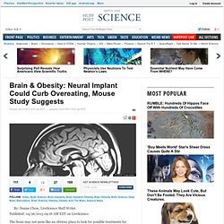 Brain & Obesity: Neural Implant Could Curb Overeating, Mouse Study Suggests