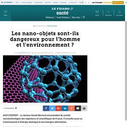 Les nano-objets sont-ils dangereux pour l'homme et l'environnement ?