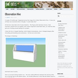 Observation Hive « The Bees