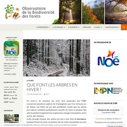 Observatoire de la Biodiversité des Forêts