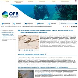 Observatoire « Littoral, Limicoles et Macrofaune benthique » - Suivre et évaluer les AMP - Evaluer