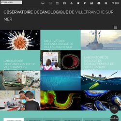 > - Observatoire Océanologique de Villefranche sur Mer