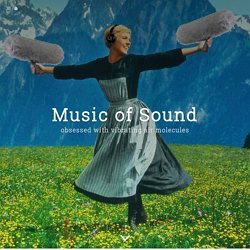 the music of sound