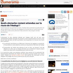 Quels obstacles restent attendus sur la route de l'Hadopi ? - Nu