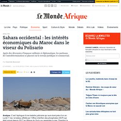 Sahara occidental : les intérêts économiques du Maroc dans le viseur du Polisario