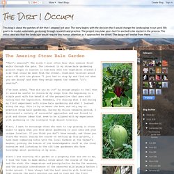 The Dirt I Occupy: The Amazing Straw Bale Garden