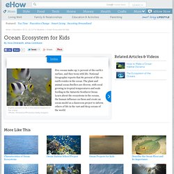 Ocean Ecosystem for Kids