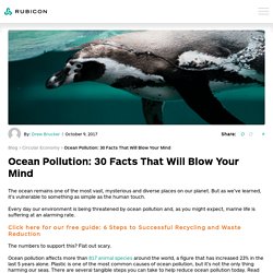 30 Ocean Pollution Facts That Will Blow Your Mind