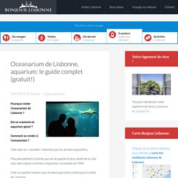 Oceanarium de Lisbonne, aquarium: le guide complet (gratuit!)