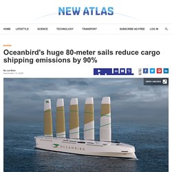Oceanbird's huge 80-meter sails reduce cargo shipping emissions by 90%