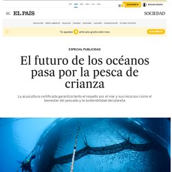 El futuro de los océanos pasa por la pesca de crianza